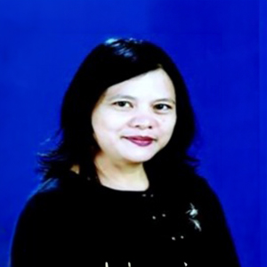 mya-lwin-lwin-aung-member-of-the-sumernet-steering-committee