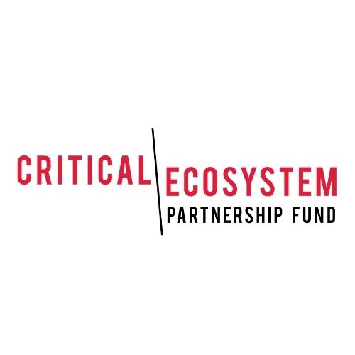 CEPF logo funder